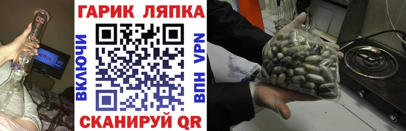ГАШ 40% ТГК Спас-Деменск